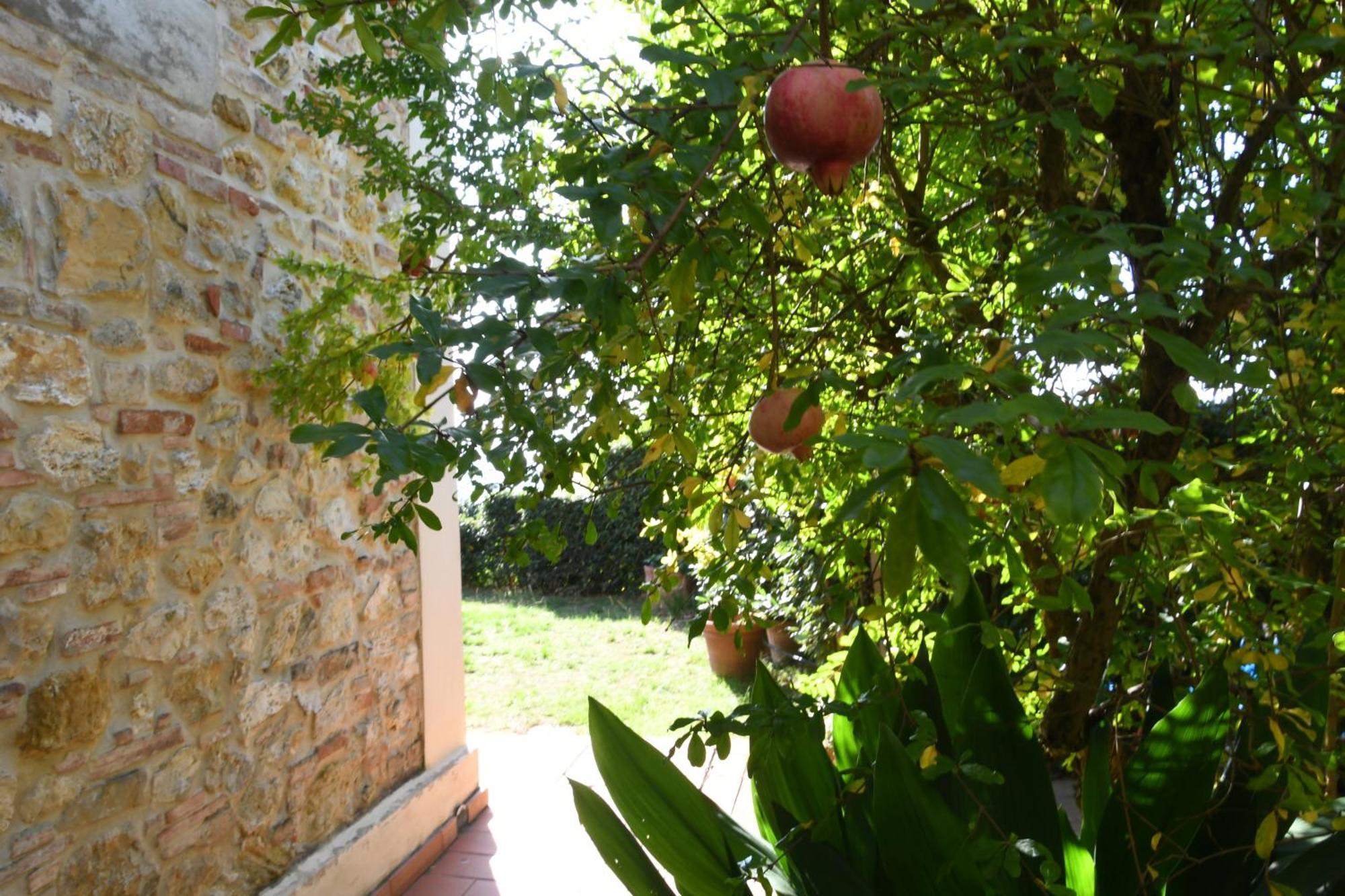 Podere Le Monache Montaione Εξωτερικό φωτογραφία